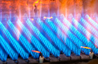 Fleoideabhagh gas fired boilers